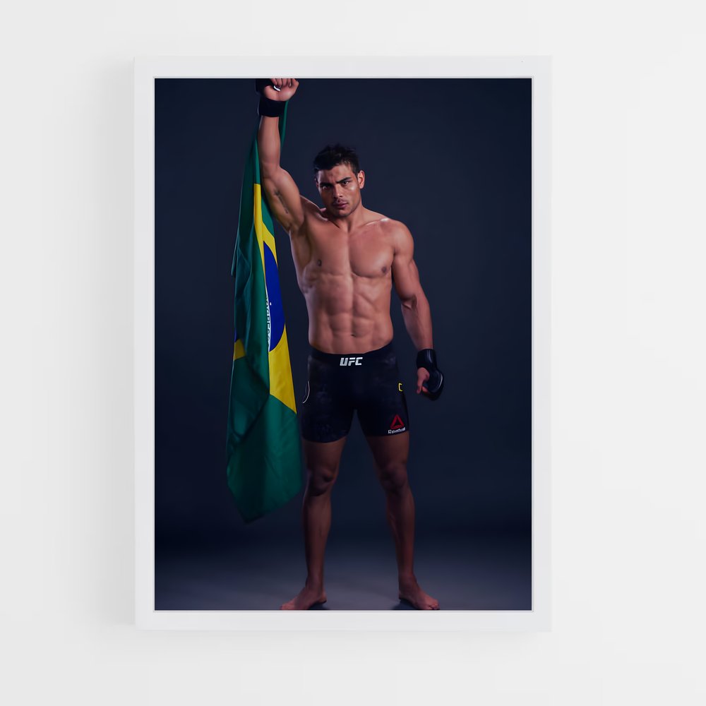 Poster L'Esprit Brésilien – affiche MMA (vue 3)